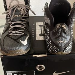 LeBron  Xll BHM # 718825 001