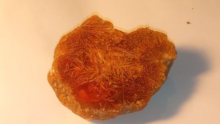 Old Stock Oregon Sagenite Agate Rough Specimen 29g Radiant Sunburst Carnelian