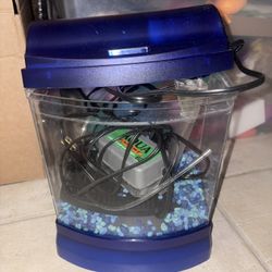 Small Fish Tank 