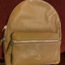 Coach Medium Backpack