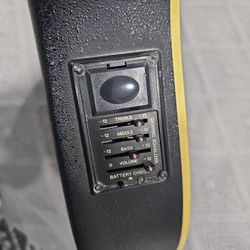 Hand Crafted Fernandes Guitar