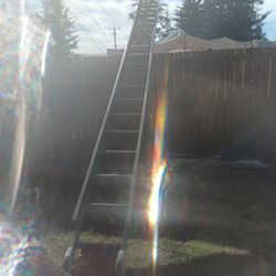 40 Foot Ladder