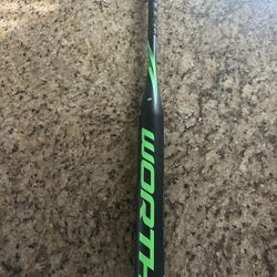 WORTH STORM Fast Pitch  Bat