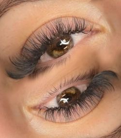 Lash Model