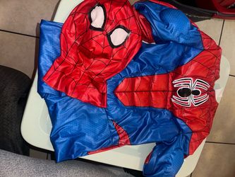 Spider-Man costume