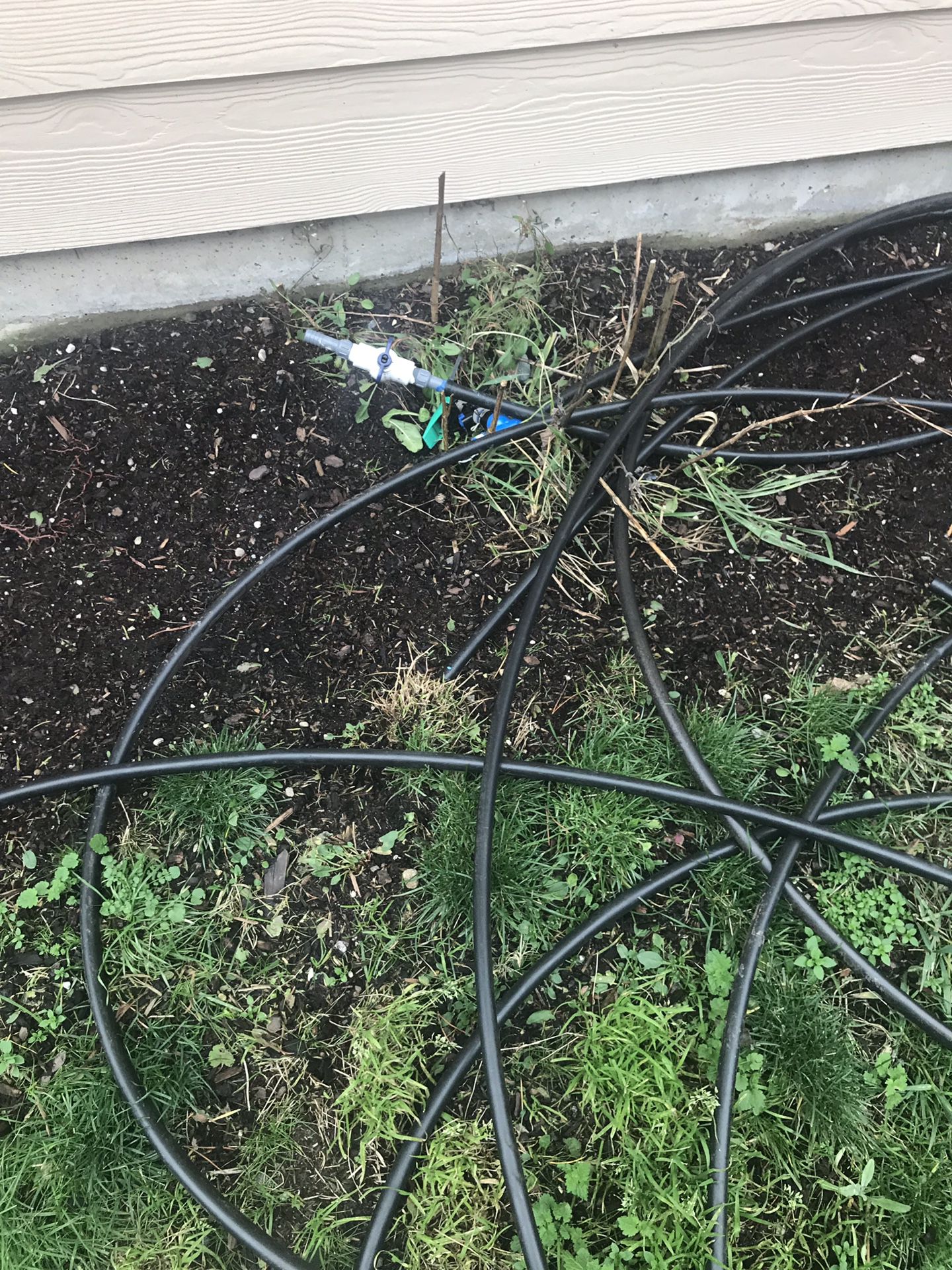 Sprinkler heads and hoses free