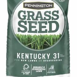 Pennington Kentucky 31 Grass Seed
