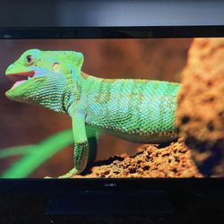 55 Inch HD Flatscreen Tv