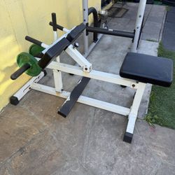 Seated Calf Machine