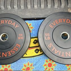 PAIR  OF  NEW  55  LB.    OLYMPIC  BUMPER  PLATES    •  I ALSO HAVE :  45lb.  35lb.   BUMPER PLATES  • RUBBER  & STEEL DUMBBELLS •  SQUAT RACKS •  FLA