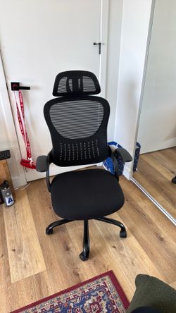 Ergonomic Desk Chair - East Hollywood
