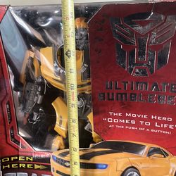 Bumblebee transformers