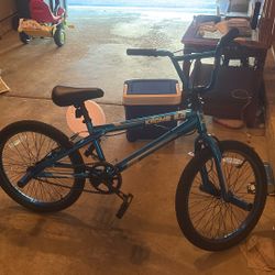 Blue Bike