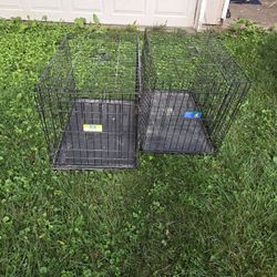 Pet Carrier