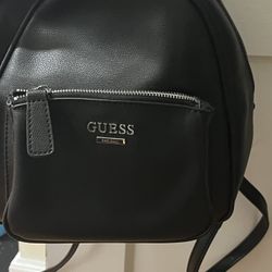Guess Purse 