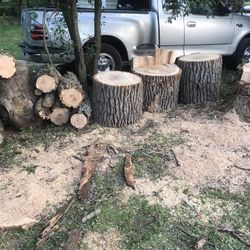 Wood For Fire Very Dry 