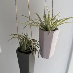 Anthropologie Hanging Planters/ Air Plant Orb + Faux Plants