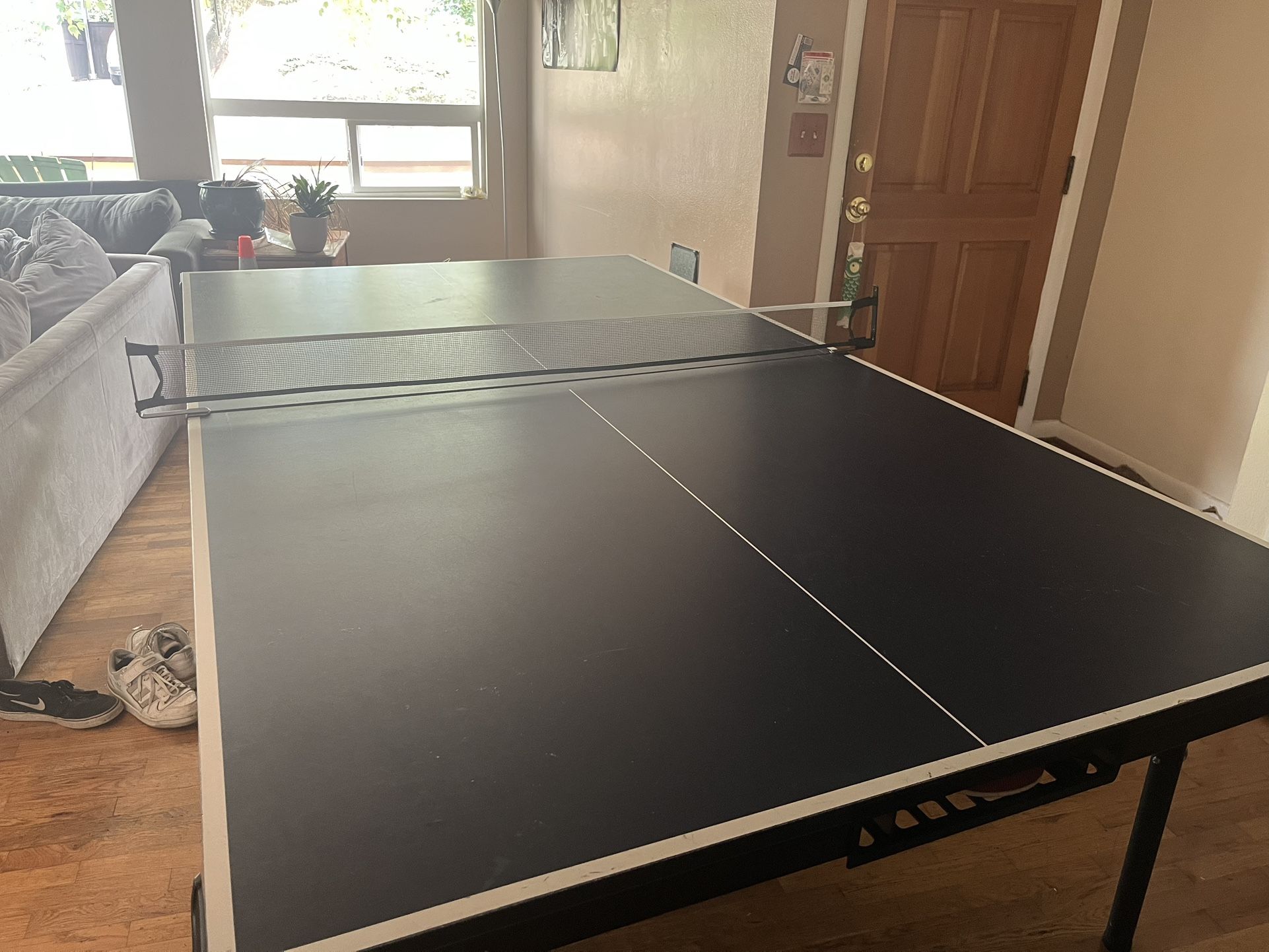 Ping Pong Table
