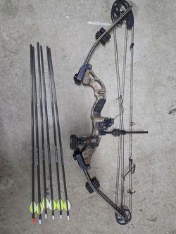 Hoyt