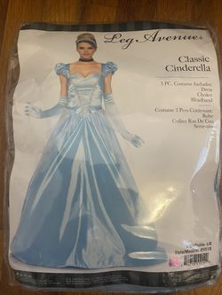 Cinderella Costume 
