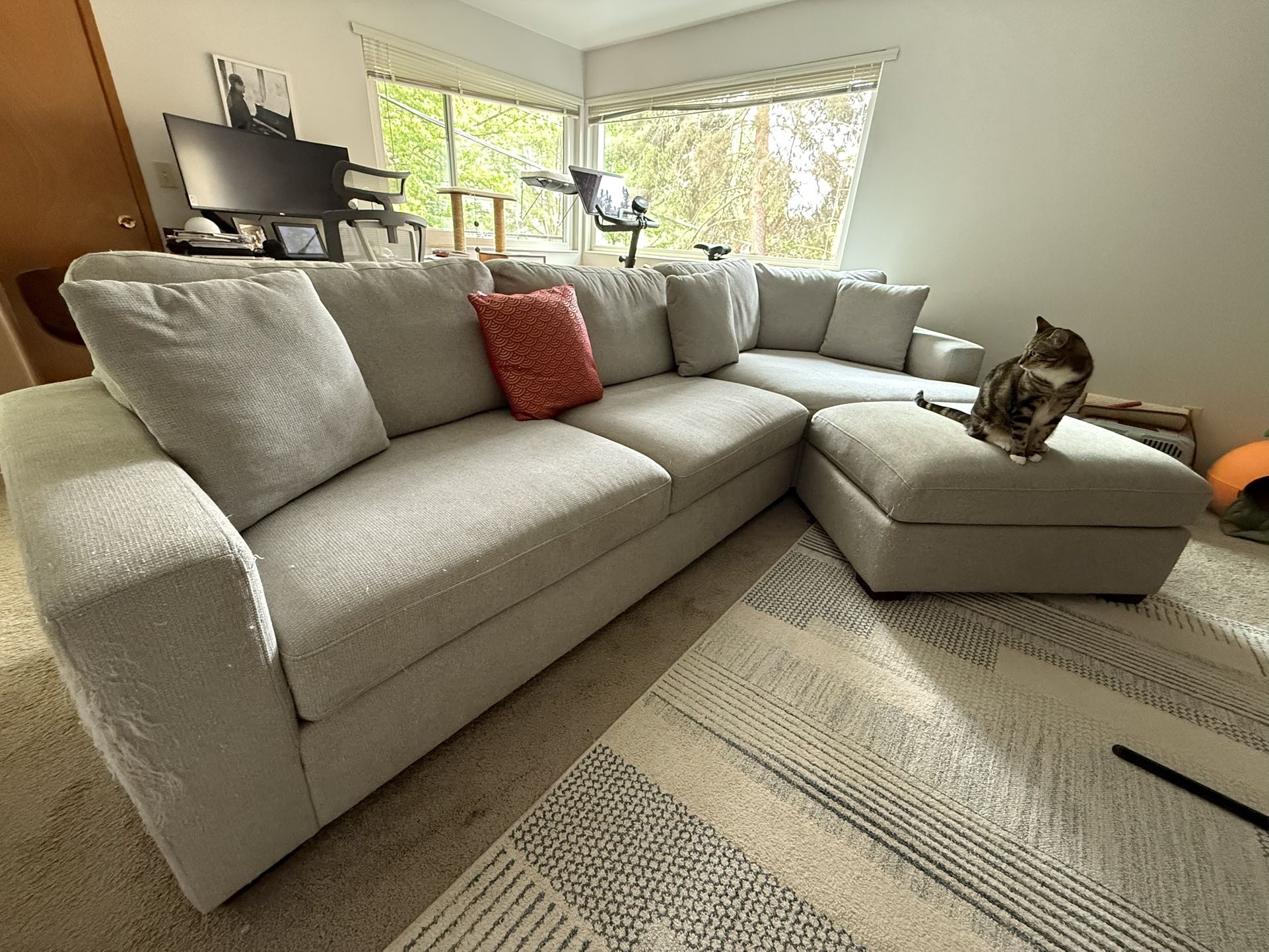 Gray Couch