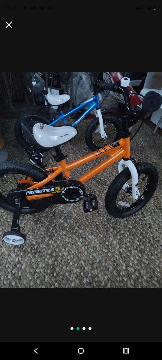RoyalBaby Freestyle Sport Kids Bike