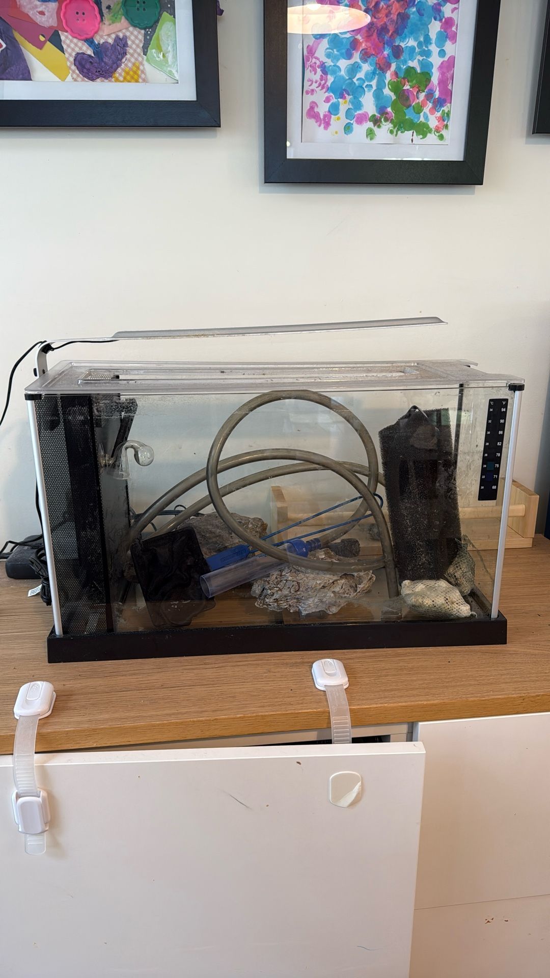 Fish Tank + Rocks