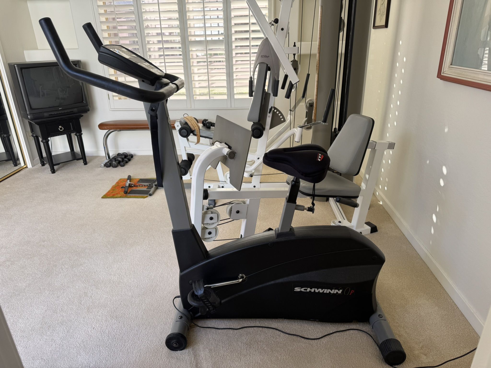 Schwinn Stationary Bike