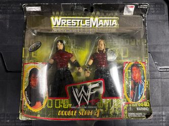 Wrestlemania 2000 Hardy Boyz