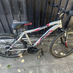Bike 24”