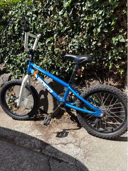 Diamondback Viper bike with training wheels