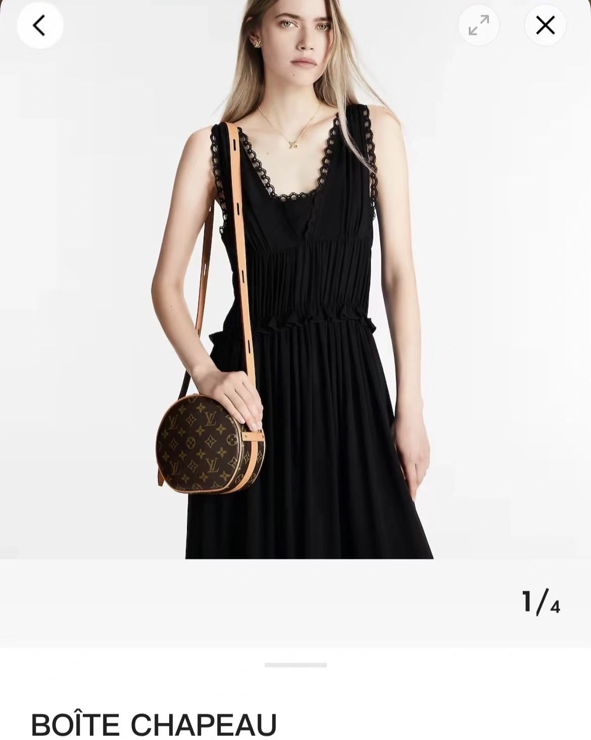 Louis Vuitton Boite Chapeau Crossbody Bag
