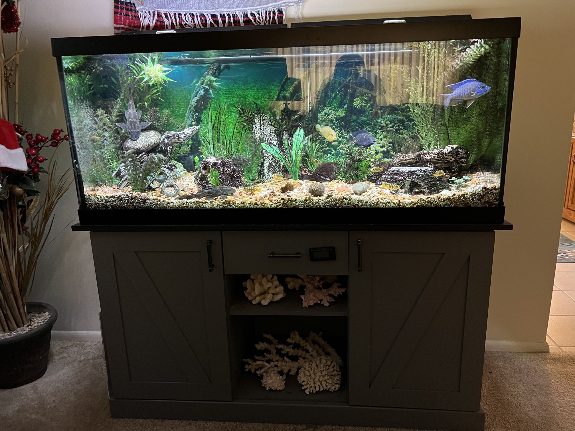 75 Gal Aquarium With Cabinet Stand