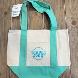 NWT Trader Joe's MINI Pastel Canvas Tote Bag In Mint Green
