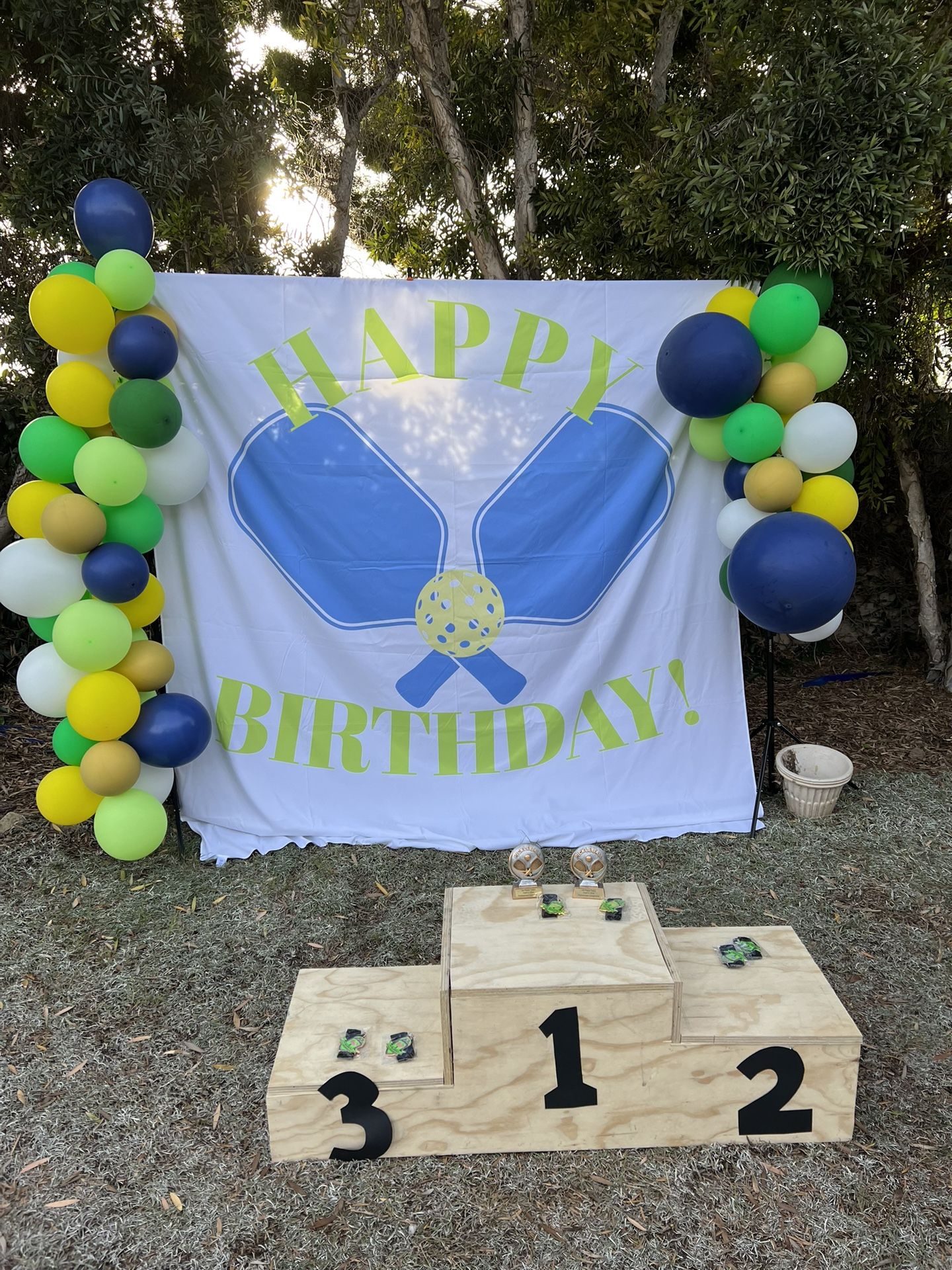 Happy Birthday Pickleball Backdrop