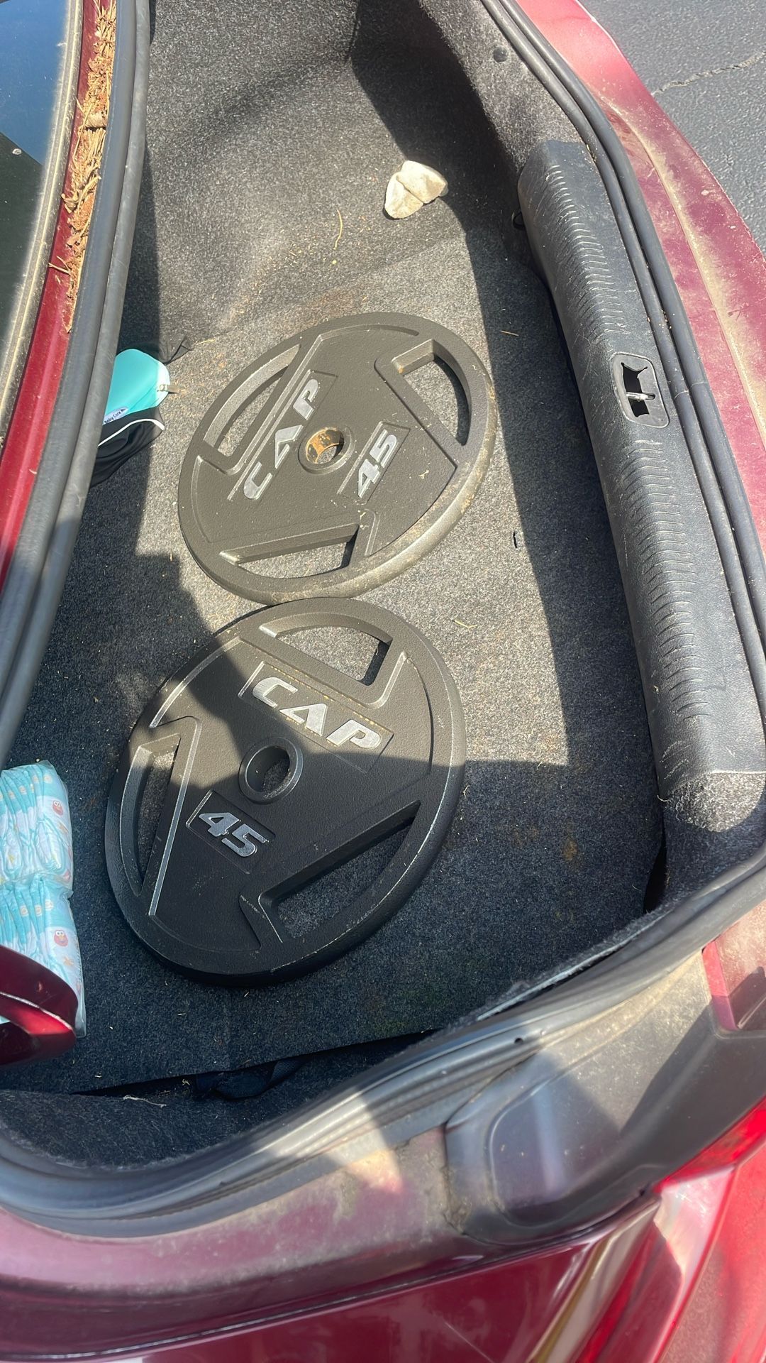45 Pound Cast Iron gym Plates