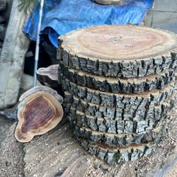 Wood Slices (Center Pieces)