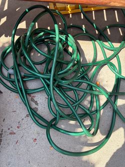 Green Garden Hose