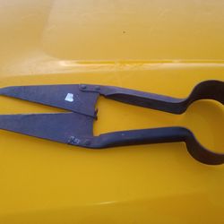 Antique Sheep Shears 