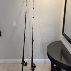 2 PENN Rod And Reel Combos
