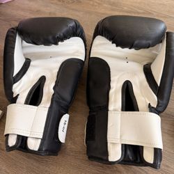 16 Oz Boxing Gloves 