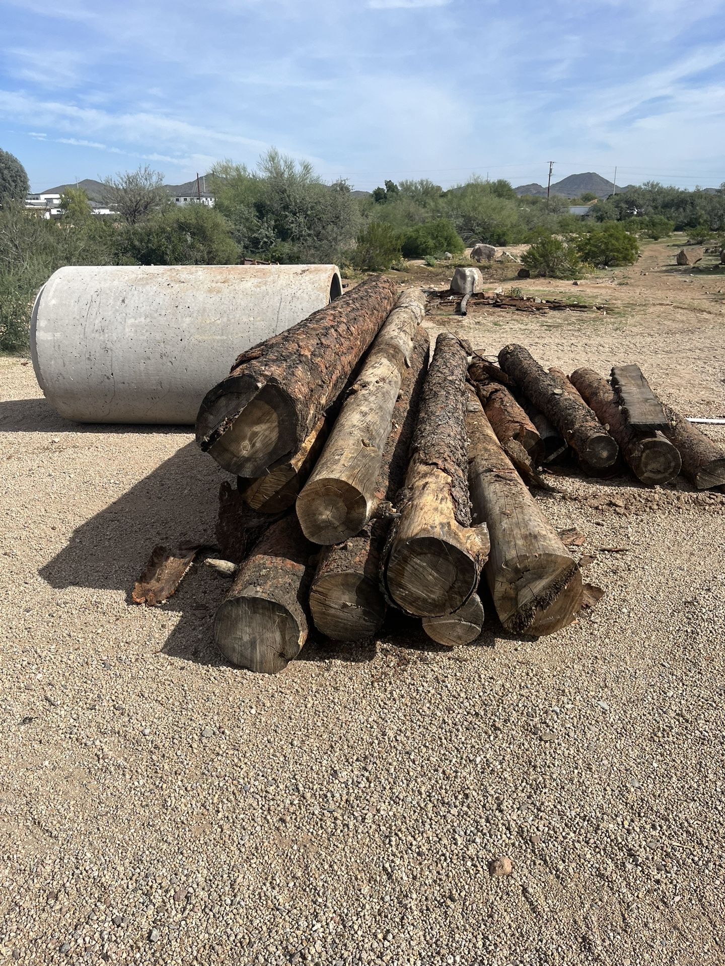 Ponderosa Pine Logs