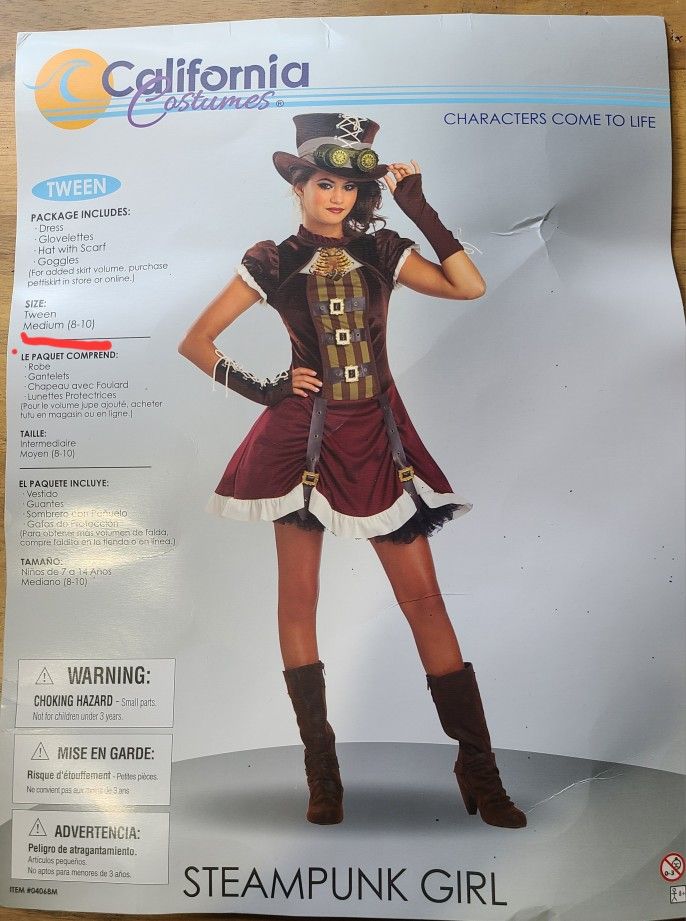 Steampunk Girl Costume