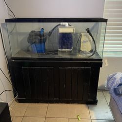 50 Gal Fish Tank/stand