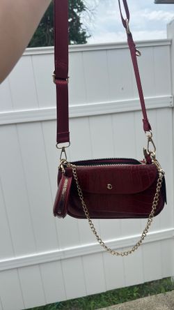 Akira Bag/Purse
