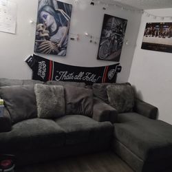 Couches/Sofa/Sectional Couches