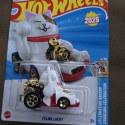 Feeling Lucky Hot Wheels 