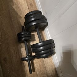 Adjustable Weights 