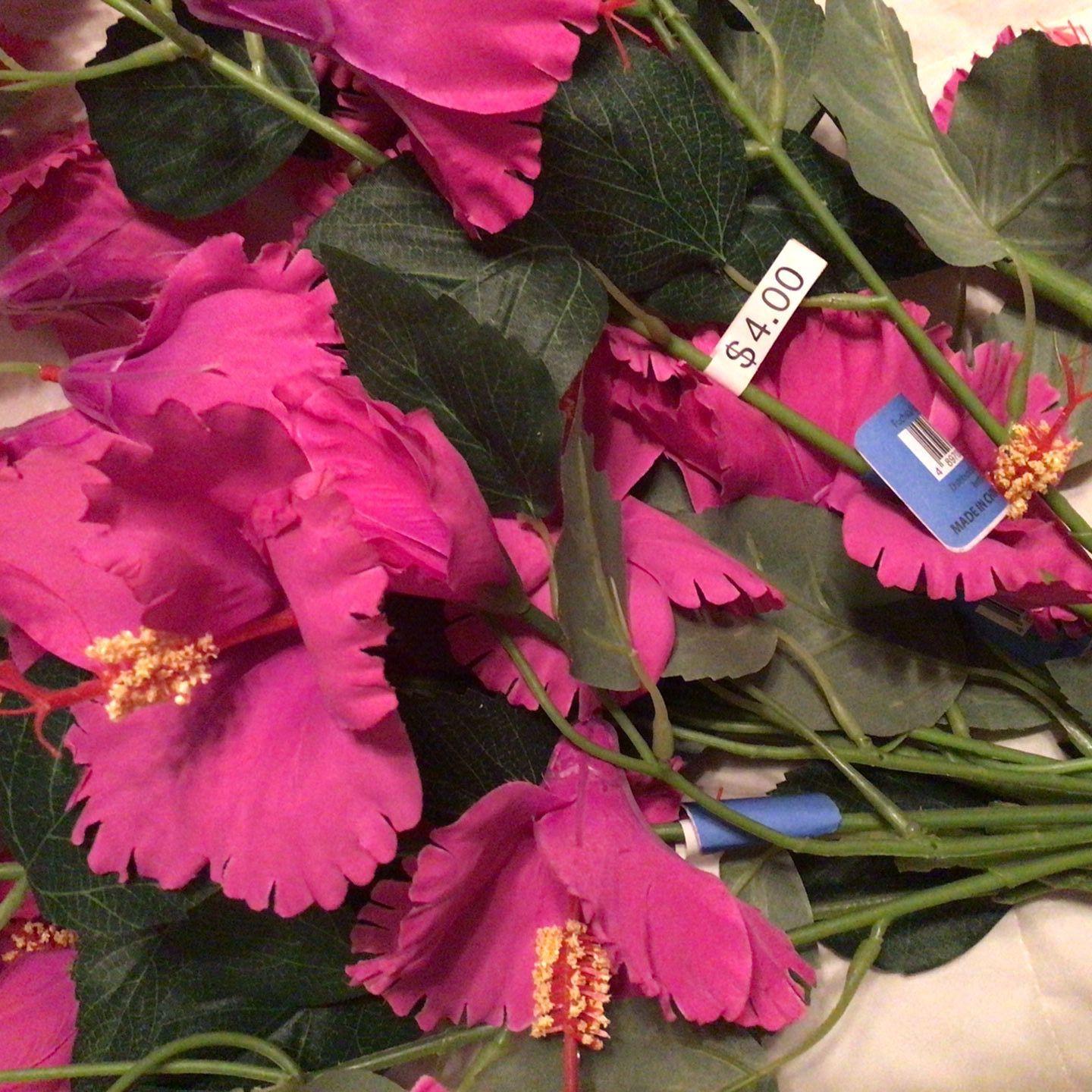 Fuchsia hibiscus Flowers $3.00each or $8.00For All