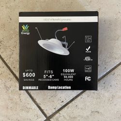 WHD Energy Retrofit Recessed Light 5-6”